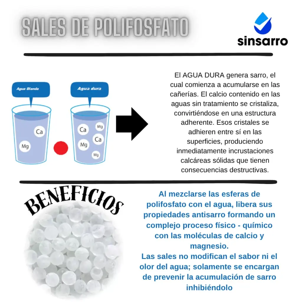 Imagen de WhatsApp 2025-09-08 a las 18.12.23_9f2581e5.webp