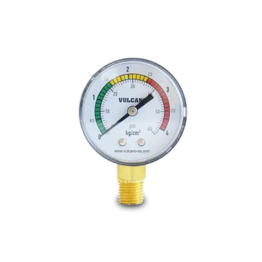 [V-135931] Manometro filtros piscina – Rosca 1/4″ lateral