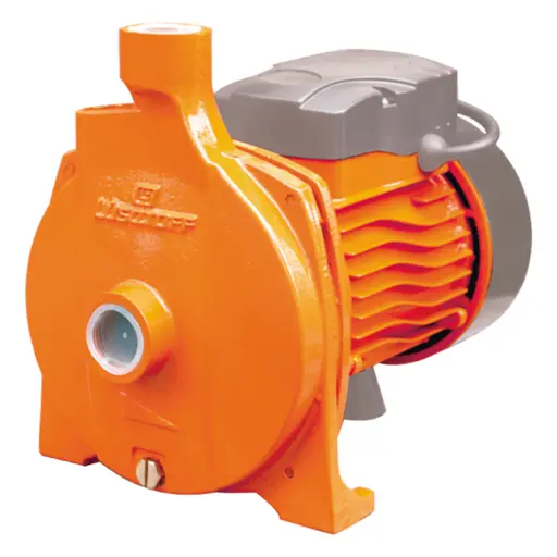 [BOM-LQ-CPM158] Bomba Centrífuga Lüsqtoff CPM158 1 HP 750W