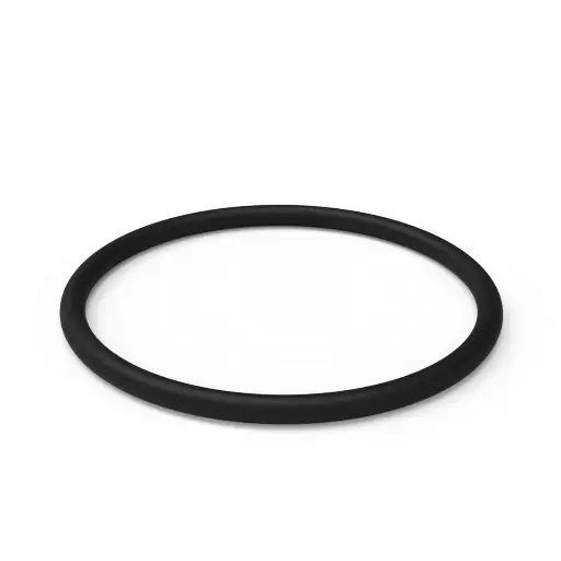 [V-250001] Oring p/tapon 2'' de toma de fondo